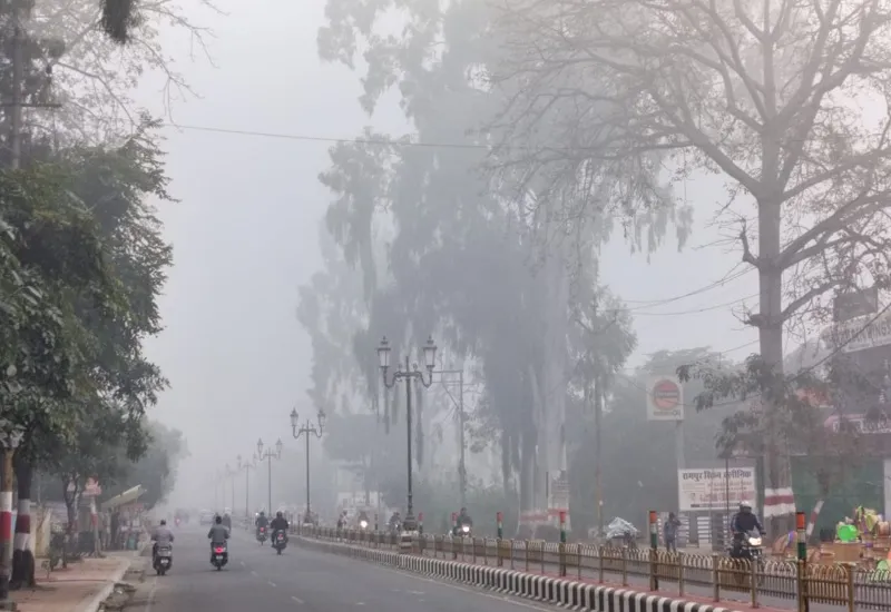 रामपुर में छाया घना कोहरा, सड़कों पर यातायात पड़ा धीमा...दो जनवरी से चलेगी शीतलहर 